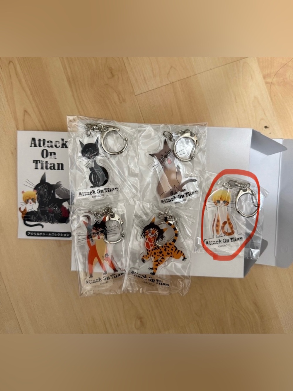 Attack on Titan Armin Arlert RE:SHAZAM cat kitty collab acrylic keychain AOT
